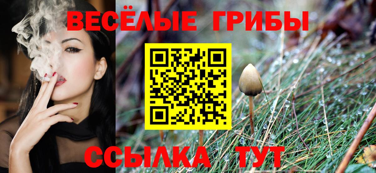 Галлюциногенные грибы прущие грибы Ульяновск